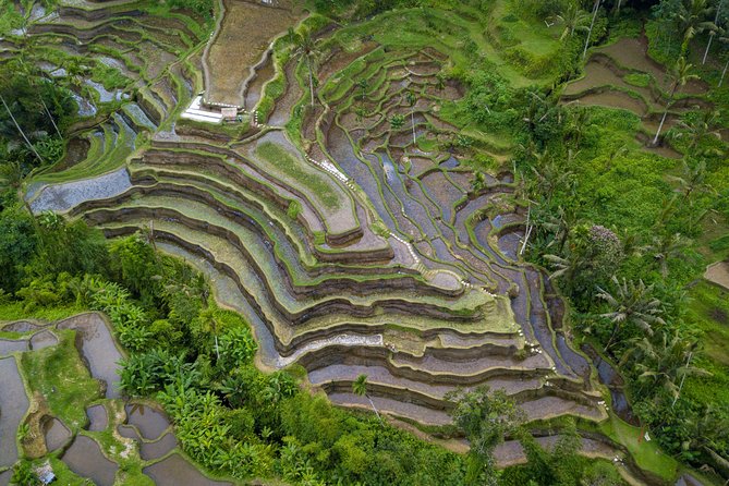 Ubud Volcano Lake and Natural Hot Spring Tour - Tirta Empul Temple: clear water, local ritual, and respectful participation