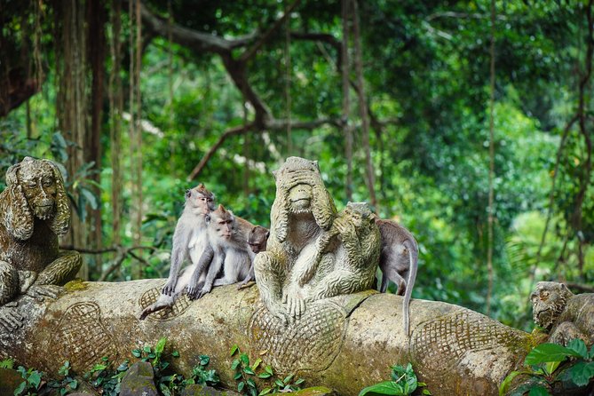 Ubud: Waterfall, Rice Terraces, and Monkey Forest Private Tour - A Private Ubud Day That Actually Moves