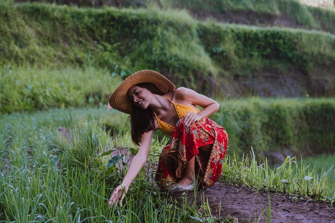Ubud: Waterfall, Rice Terraces, and Monkey Forest Private Tour - Price and Value: Where the $65 Really Goes