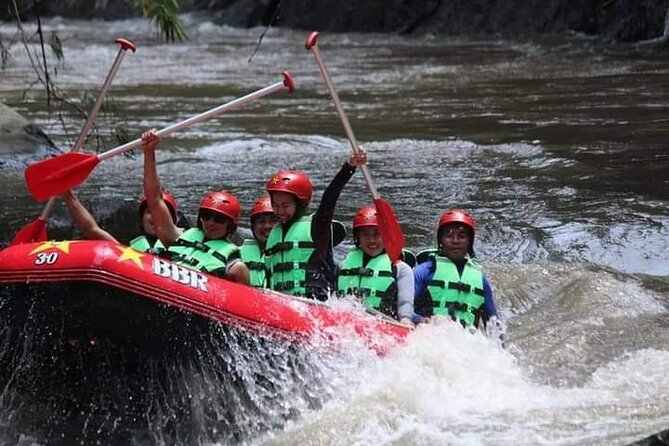 Ubud White Water Rafting on the Ayung River with Pickup & Lunch - Price and Value: Is $27 a Bargain or a Trap?