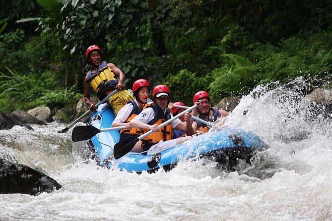 Ubud White Water Rafting with Waterfall and Lunch - Key Points to Know Before You Go