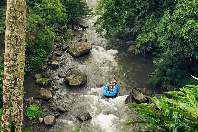 Ubud White Water Rafting with Waterfall and Lunch - The Stairs Down to the River: Your Main Scheduling and Fitness Question