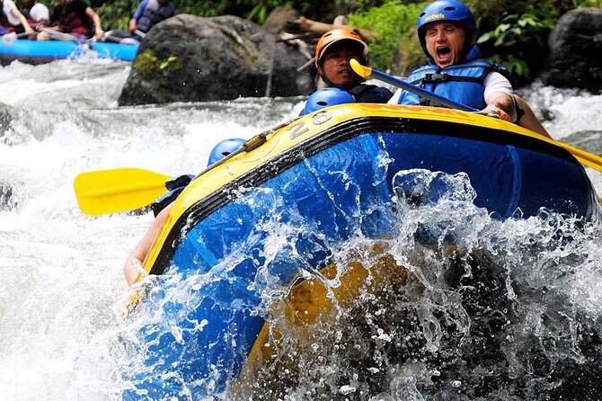 Ubud White Water Rafting with Waterfall and Lunch - Waterfalls, Swim Stops, and That Sudden Wow Moment
