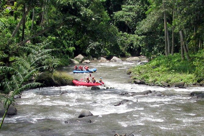 Ubud White Water Rafting with Waterfall and Lunch - Who This Tour Fits Best in Ubud