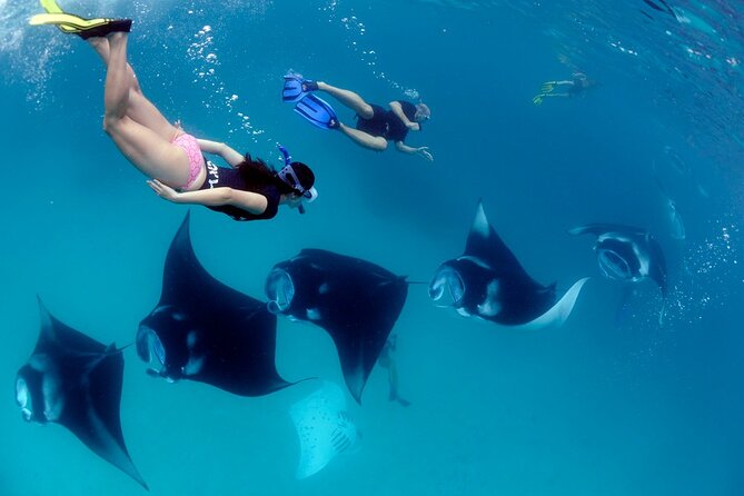 VIP Private Boat to Nusa Penida: Snorkeling with Mantas + Land Tour Adventure - Crystal Bay: your swim break with a west-coast feel