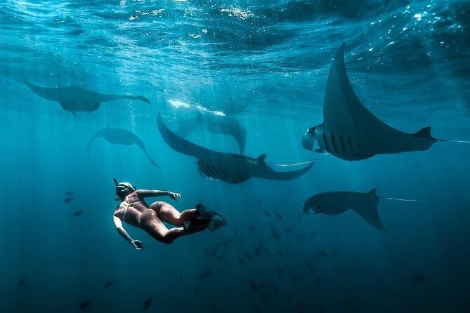 VIP Private Boat to Nusa Penida: Snorkeling with Mantas + Land Tour Adventure - Extra bays and scenic passing: Gamat Bay and Wall Bay Point