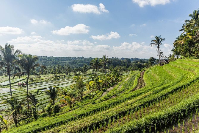 West Bali Tour: Taman Ayun, Ulun Danu Beratan, Jatiluwih Rice Terrace, Tanah Lot - Stop 4: Candikuning Fruit Market for a quick taste of mountain Bali