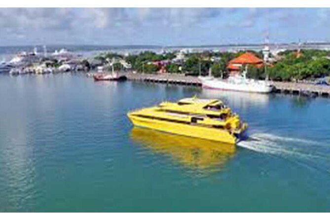 West Nusa Penida Full-Day Private Tour - The role of your English-speaking driver-guide (and why it shows)