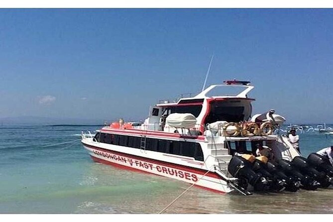 West Nusa Penida Full-Day Private Tour - Kelingking Beach: the best chance for big views and real photo time
